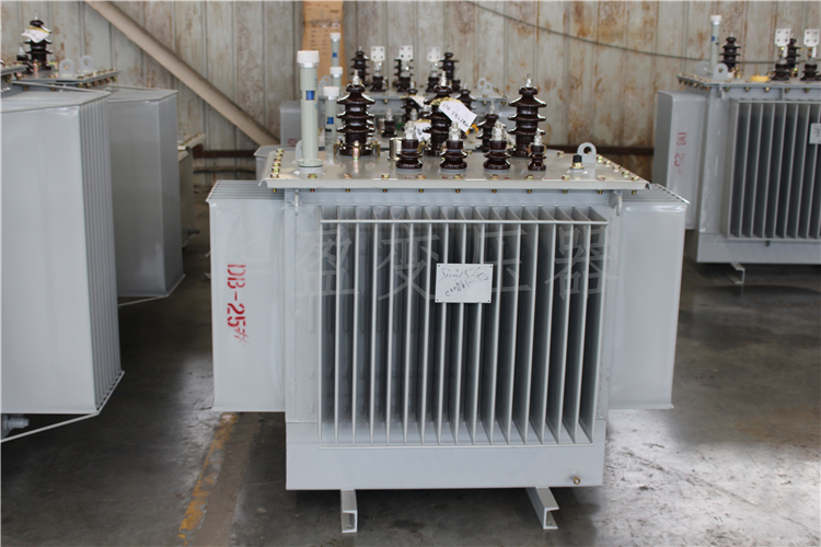 莱芜S20-800kVA/10kV/0.4kV变压器